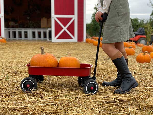 bambina con carrellino rosso e zucca