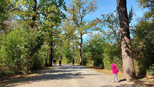 Parco della Preistoria di Rivolta D’Adda