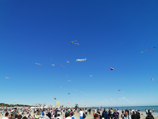 aquiloni in cielo