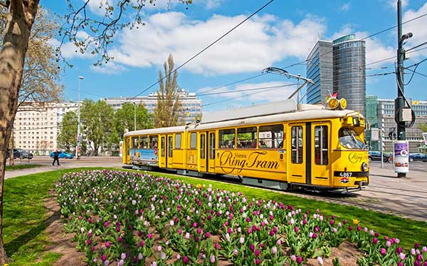 tram turistico Vienna