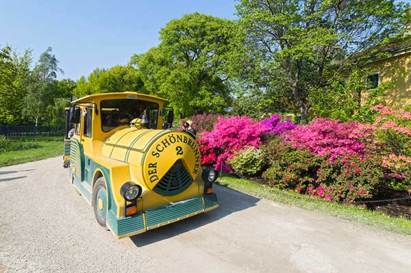 trenino giallo