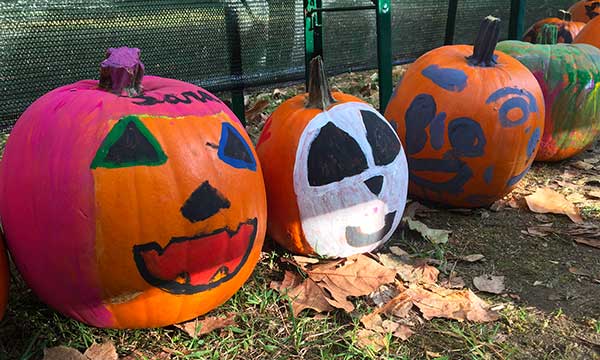 zucche decorate per halloween