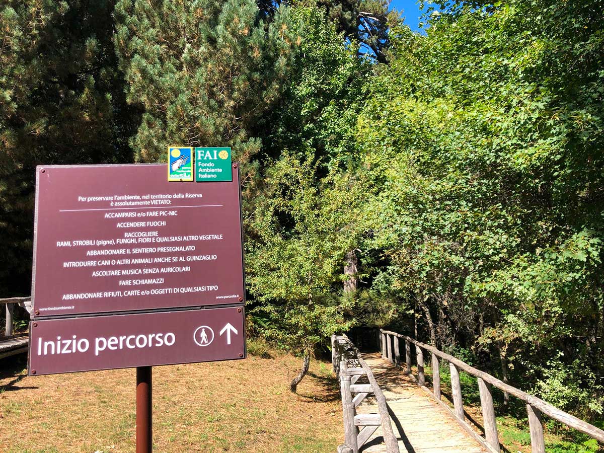 Sentiero i giganti della Sila