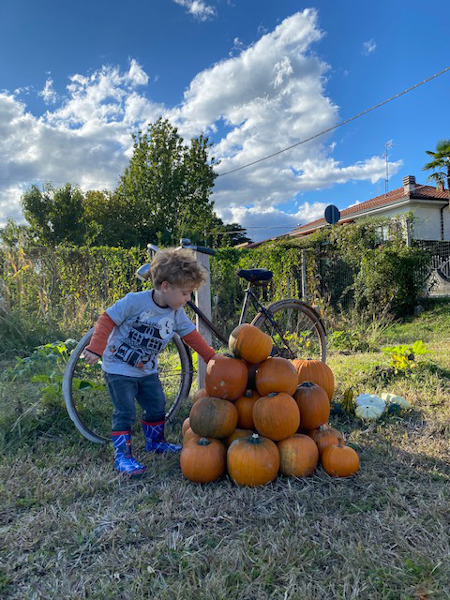 Bambino e piramide di zucche