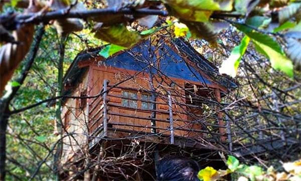 casa sull'albero in piemonte