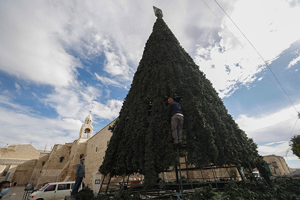 albero di Natale a betlemme