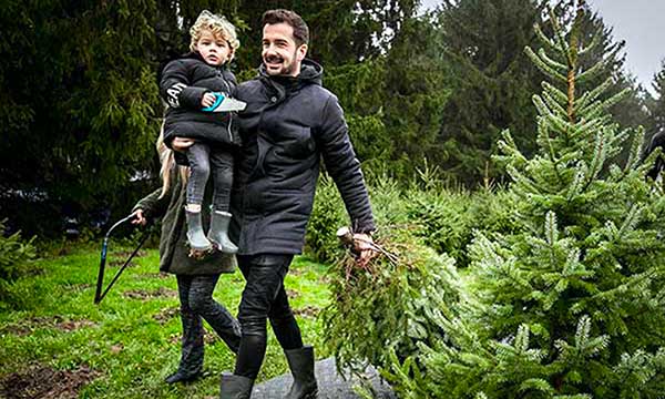 papà con bambi a sceglie albero di Natale