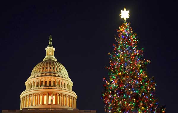 Washington albero natale