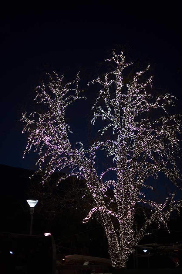 albero luci natale