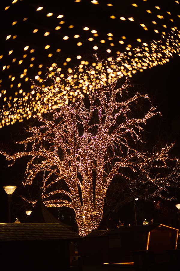 albero luci natale