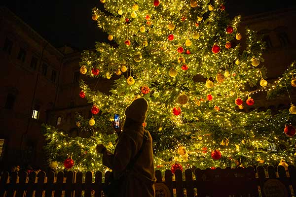 Albero Natale Bologna