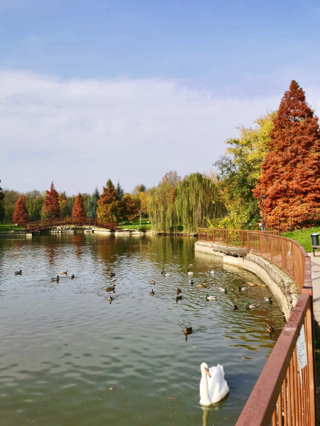 lago con colori autunnali