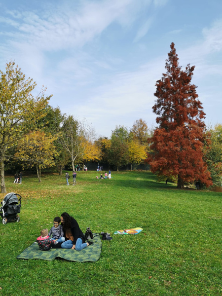 famiglia che fa picnic sul prato