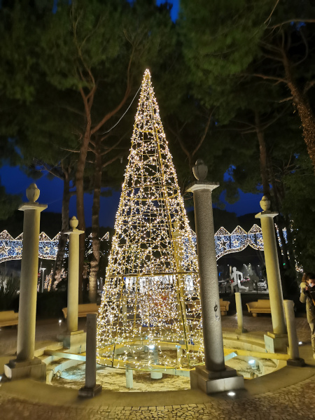 albero di luci e rotonda illuminata