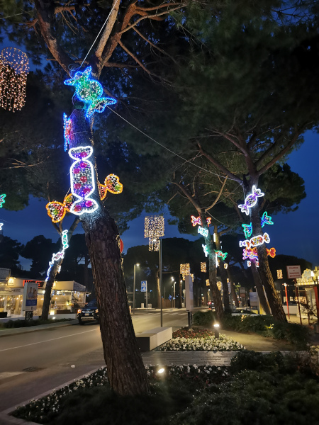 caramelle luminose appesa agli alberi