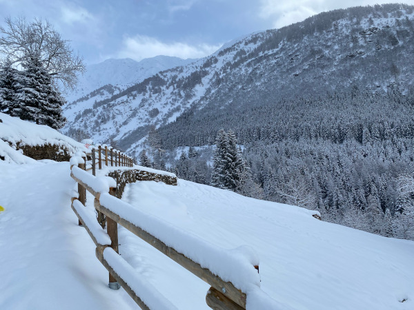 paesaggio innevato