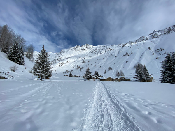 Strada di montagna innevata