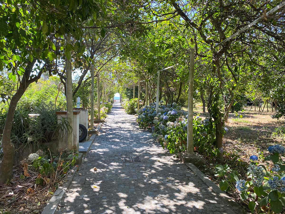 Procida con i bambini Giardini di Elsa