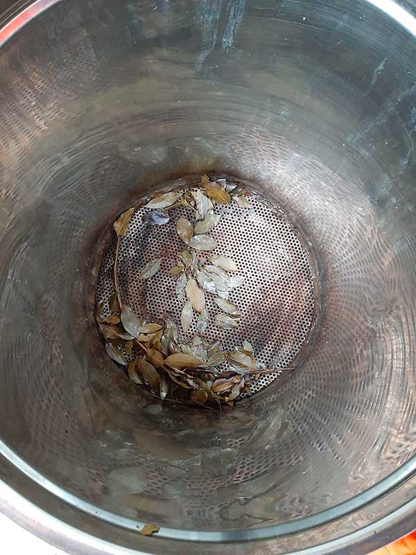 Brusafer erbe aromatiche
