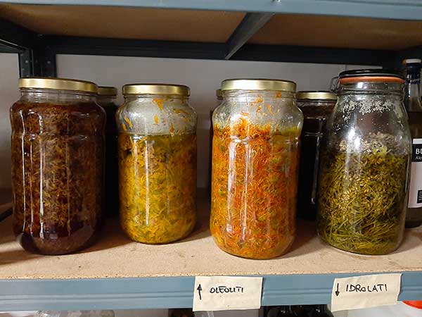 barattoli sott'olio