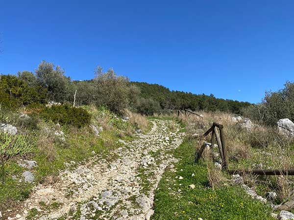 Trekking a Monte Castello di Castel Morrone