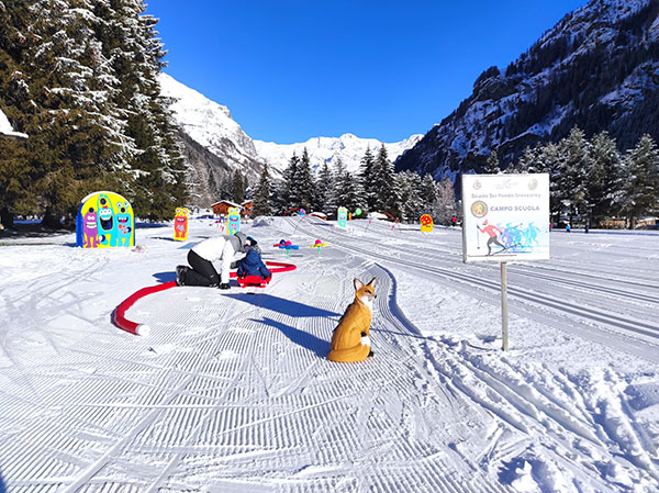 La donna in rosa pantaloni da neve fare sci di fondo su un lago