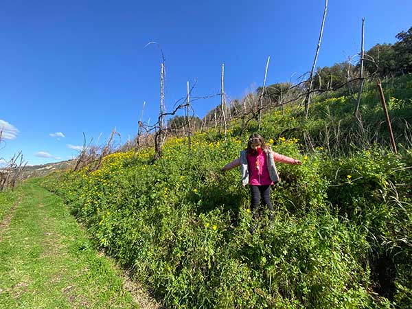 trekking monte nuovo averno