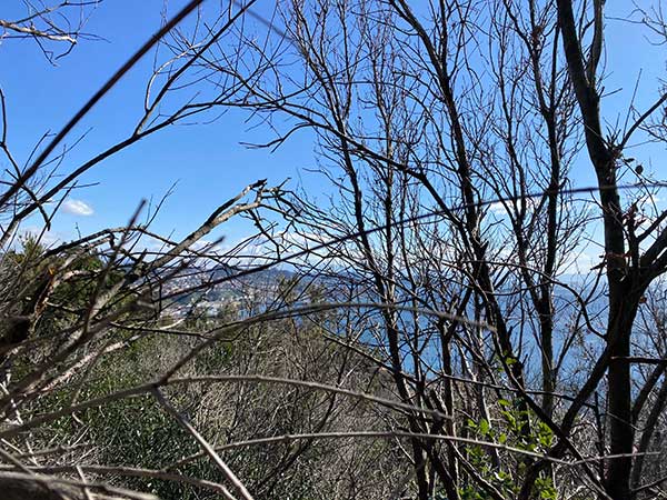 trekking monte nuovo vista