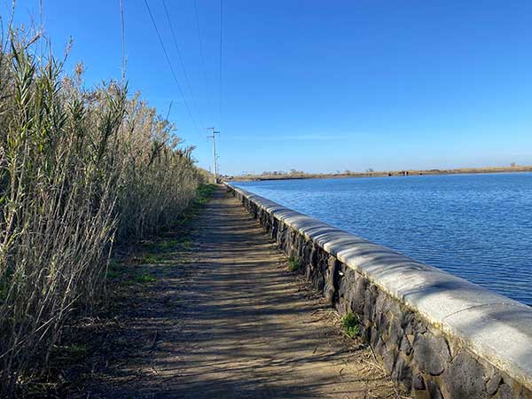 ciclopedonale fusaro