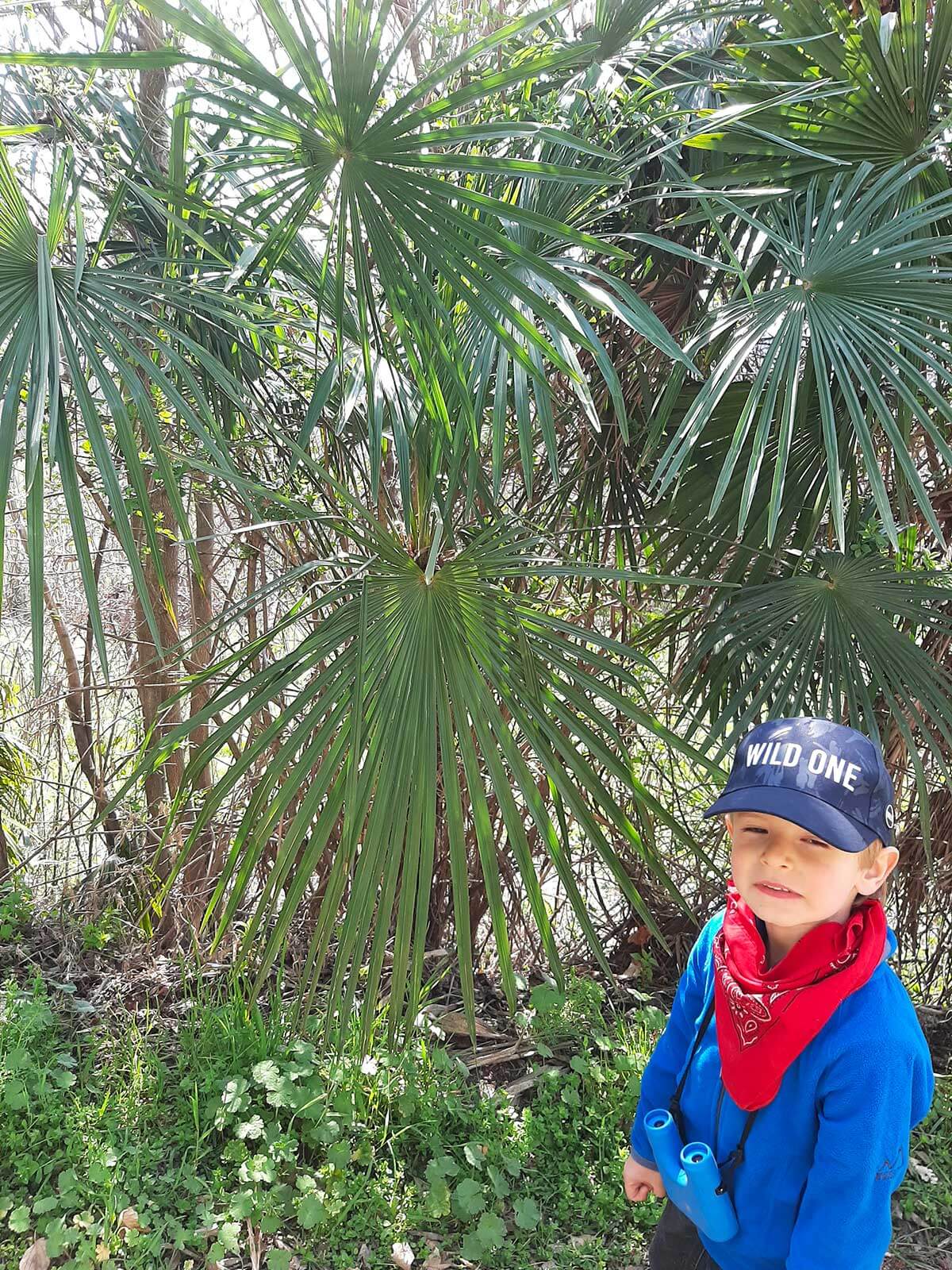 L'anello verde di Torino con i bambini: il sentiero 14