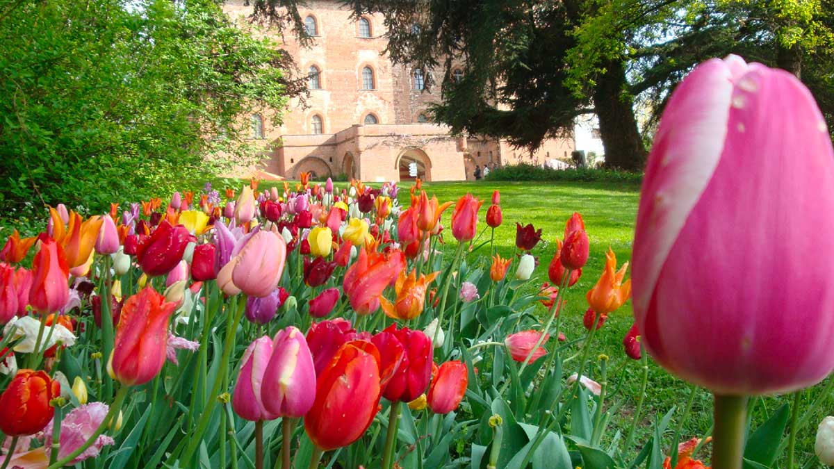 Messer Tulipano al Castello-di-Pralormo