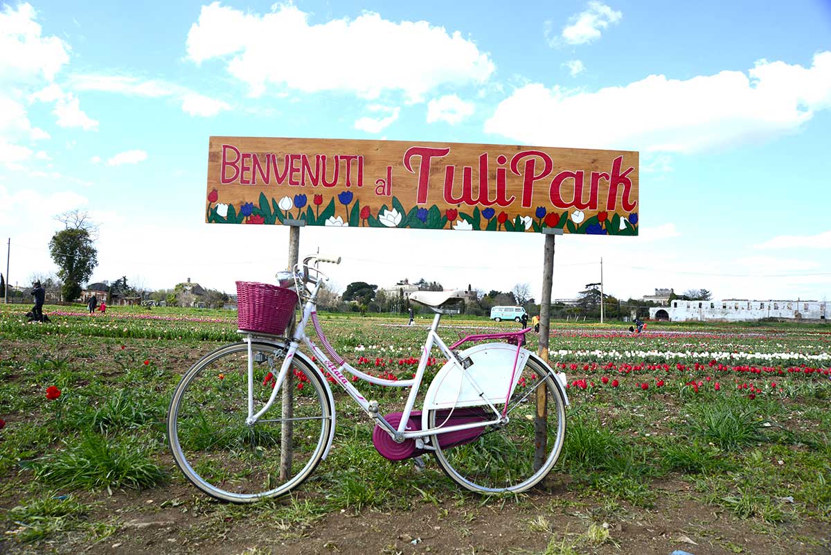 biciletta insegna tulipark