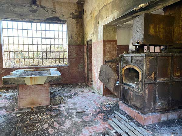 forno crematorio animali