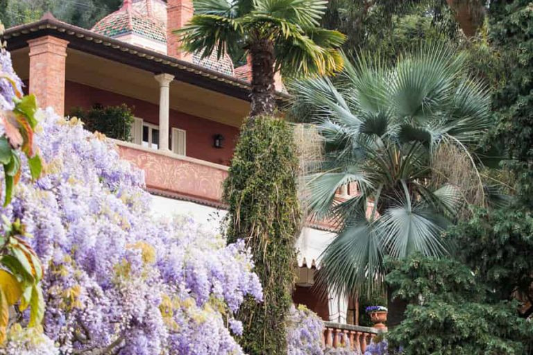 primavera in liguria villa della pergola