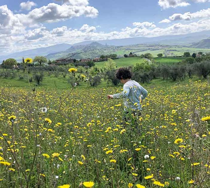 bambino in un campo di fiori