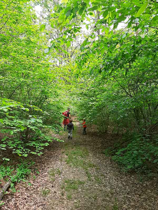 Bosco della Partecipanza