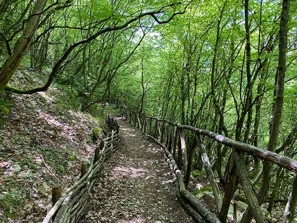 Cipresseta fontegreca trekking