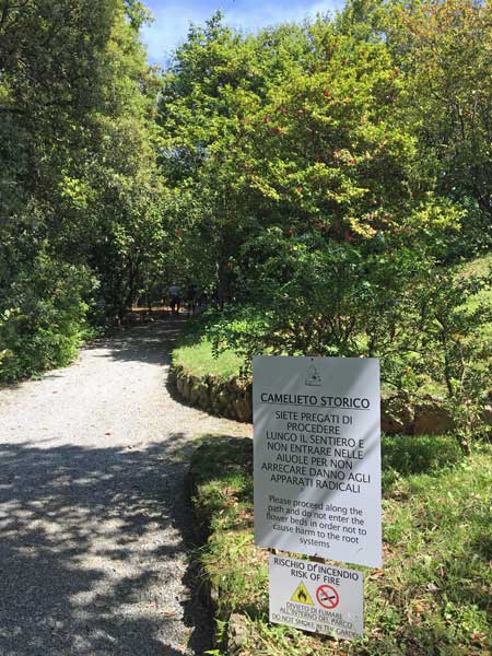 camelieto storico villa pallavicini