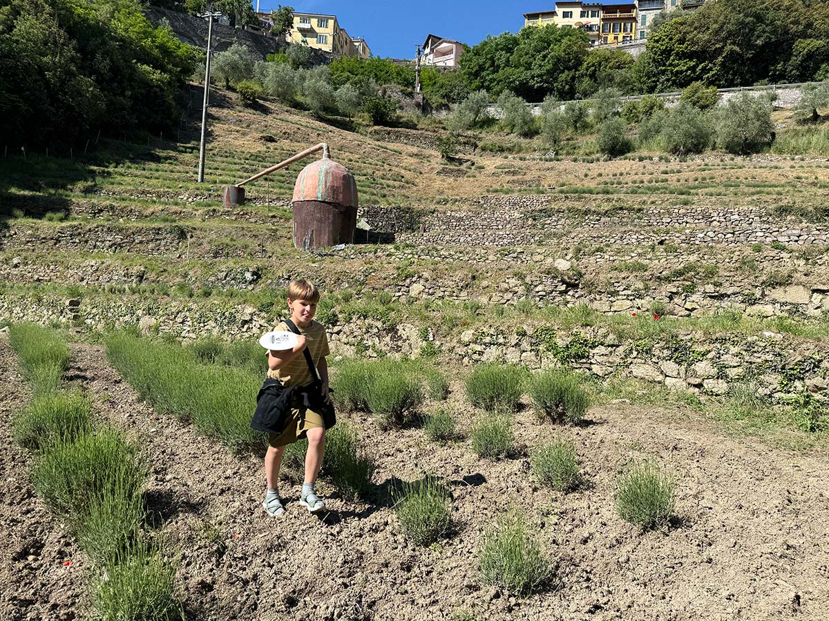 La Casa di Remo – Olivetta San Michele, Valle Roja