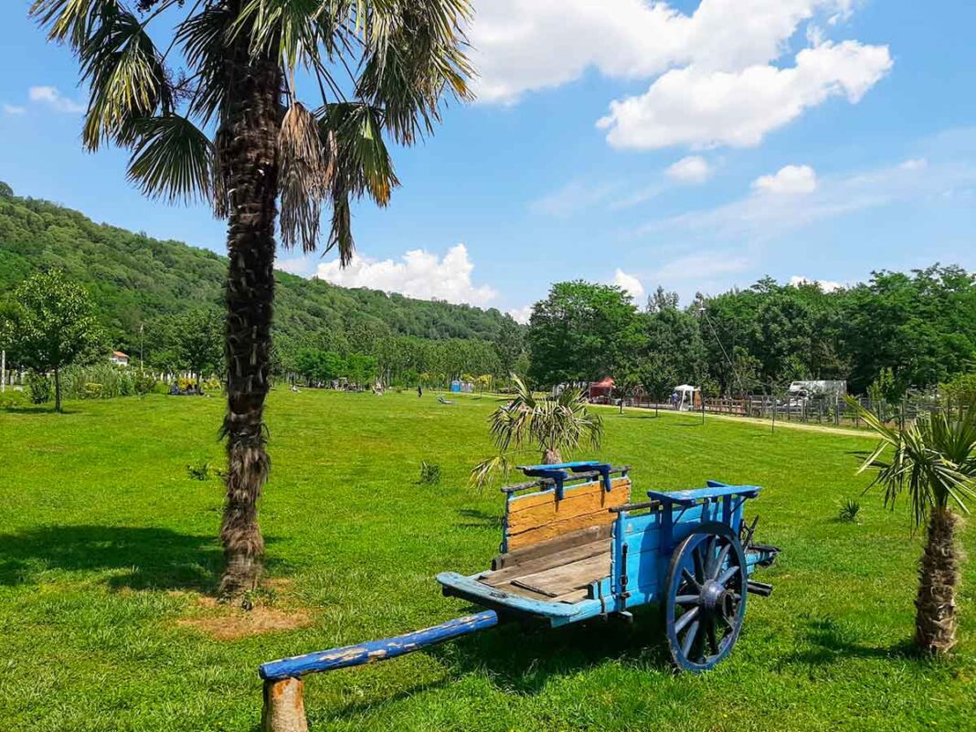 Oasi Baronis viaggiapiccoli