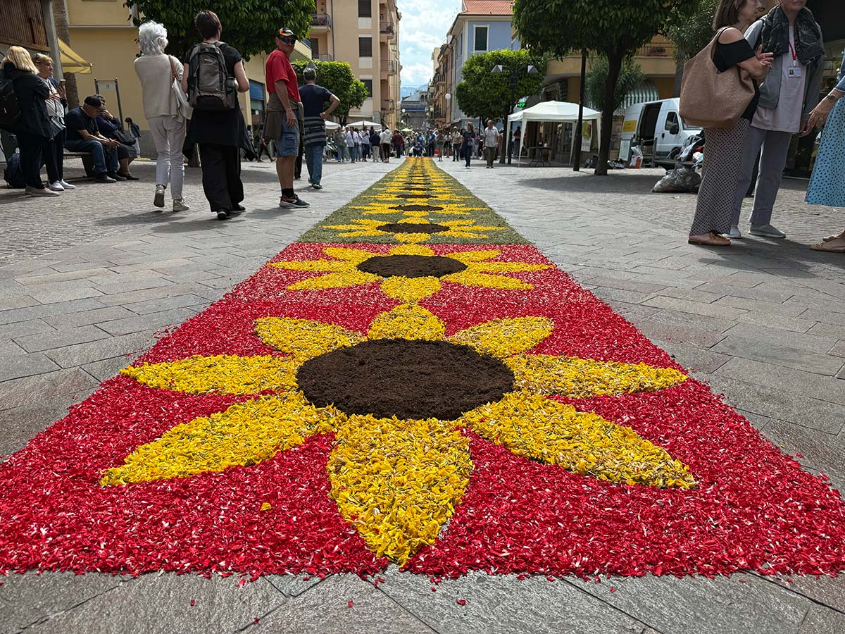 infiorata pietra ligure