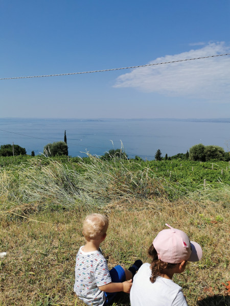bimbi guardano panorama del lago