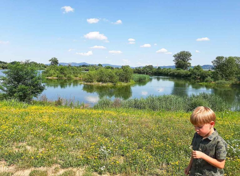 bambino al parco laghetti Falchera