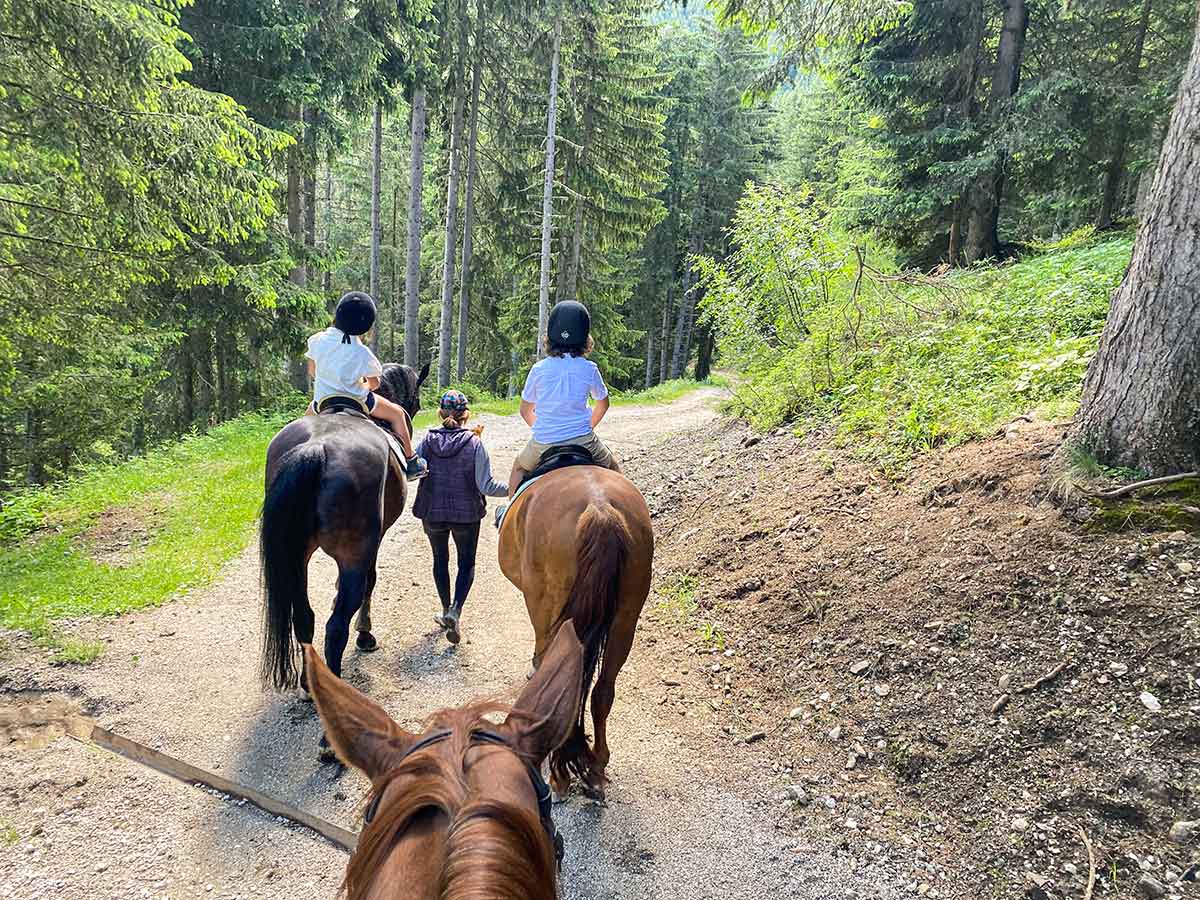 bambii di spalle a cavallo