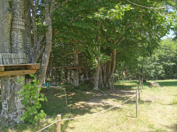 parco avventura nel bosco