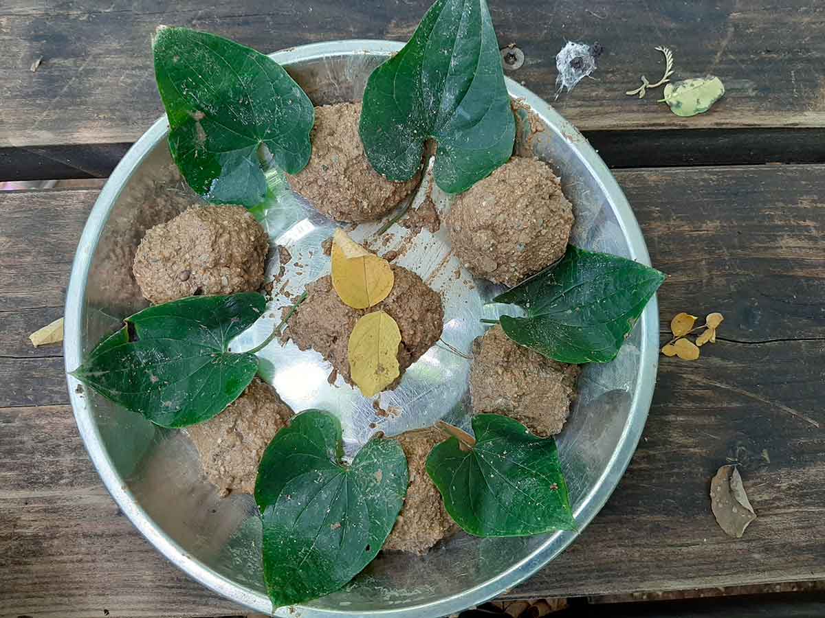 polpette di fango