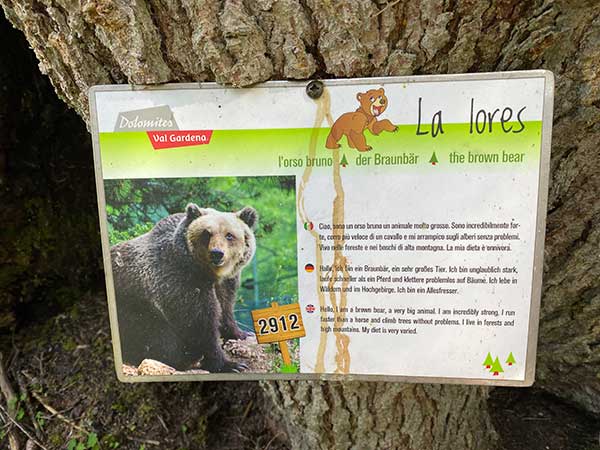 orso cartello