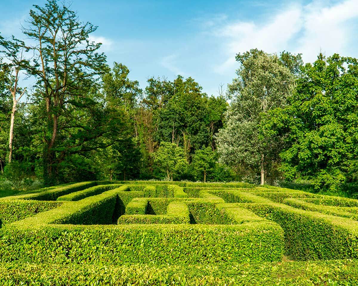 rinto Parco della Preistoria 