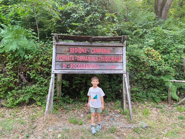 foresta Roccarainola