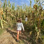 bambini in labirinto di mais